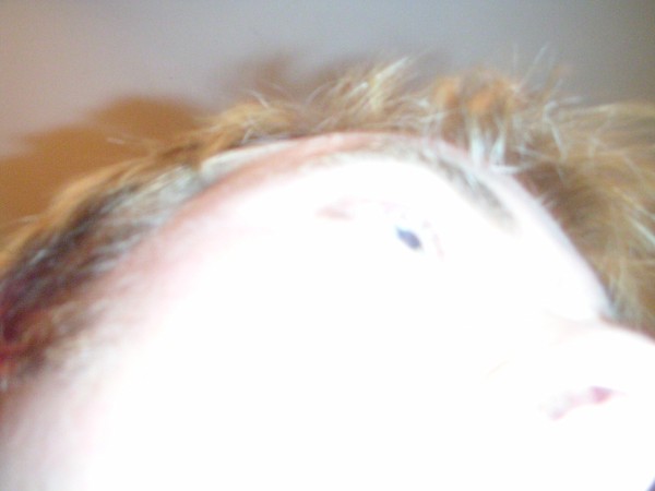 Click for the original image