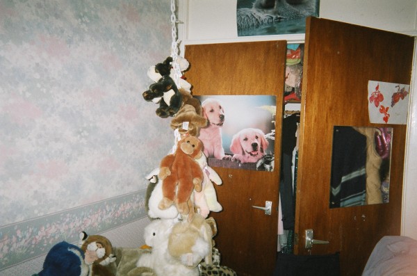 Click for the original image